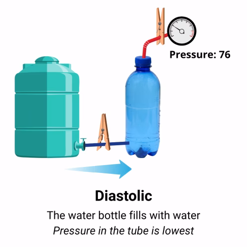 Water tank connected to relaxed water bottle and tube with pressure gauge showing 76, illustrating diastolic blood pressure when heart refills